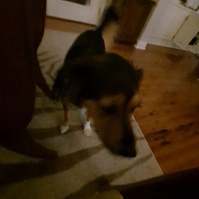 StratusFan14's profile picture. bobsquidward #1 super smash bros employed