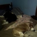 Lana King - @LanaKin81420052 - Twitter