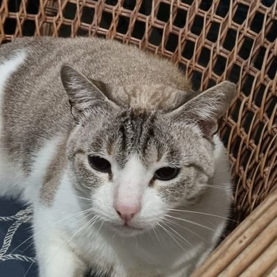 sbrjjo's profile picture. FAMÍLIA É TUDO ESQUERDA É NADA! LULA E BOLSONARO NO INFERNO! NÃO DEFENDO POLÍTICO NENHUM!!! TUDO É FILHO DE KENGA, SAFADOS E MENTIROSOS!