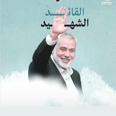 T_Bouhdima's profile picture. 