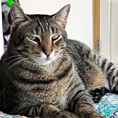 C77288Ann's profile picture. 