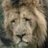ozzymandem's profile image