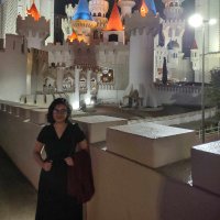 Ismat Jarin (@ijarin94) 's Twitter Profile