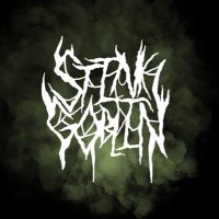 𝔰𝔱𝔦𝔫𝔨 𝔤𝔬𝔟𝔩𝔦𝔫 (@stink_goblin97) 's Twitter Profile Photo 𝔰𝔱𝔦𝔫𝔨 𝔤𝔬𝔟𝔩𝔦𝔫 (@stink_goblin97) 's Twitter Profile Photo