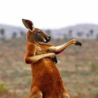 r_murray92's profile picture. “Multi-culture is the real culture of the world — a pure race doesn’t exist.”  – Keanu Reeves