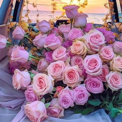 PNino76's profile picture. 