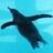 ip_design's profile image