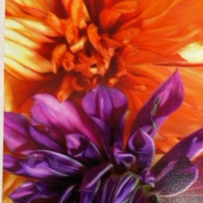 physician. interviews on recovery. addiction medicine. exploring intersecting themes on philosophy & spirituality. and beautiful art.