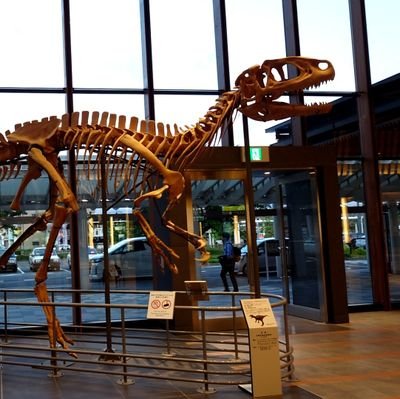 yuripa6666's profile picture. 🧊されました汗　見覚えのある御方、同士の方々、またよろしくお願いします！絡みはディスコ主体です！