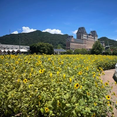 fuGoaYubaf82986's profile picture. 楽しいこと大好き！ SUPER EIGHT、BMSG、全力推し！！2024.9.8MUZE♪♪九州在住♪̊̈♪̆̈