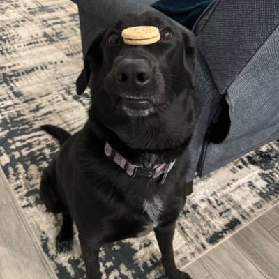 pfutch1's profile picture. LR, AR to SA, TX