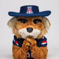 Wilbur T. Wildcat (@azwilburwildcat) 's Twitter Profile