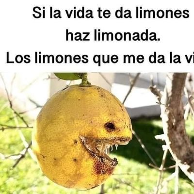 AbertoAlex46197's profile picture. 