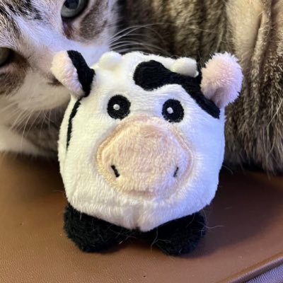 佐藤ニッキさんのプロフィール画像