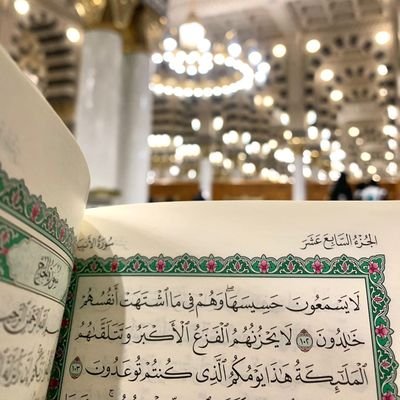 ﴿رَبِّ إِنِّي لِمَا أَنْزَلْتَ إِلَيَّ مِنْ خَيْرٍ فَقِيرٌ﴾