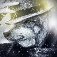 Chester (@largejowls) 's Twitter Profile Photo Chester (@largejowls) 's Twitter Profile Photo