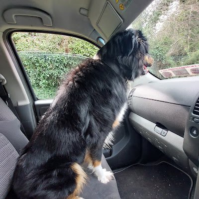 KarlM96493's profile picture. 