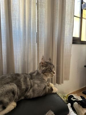 May99946776413's profile picture. 