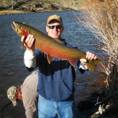 davewaite676788's profile picture. 