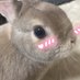 ããŸã€ðžð°â¡ (@jjj_jj_j_j_j) Twitter profile photo ããŸã€ðžð°â¡ (@jjj_jj_j_j_j) Twitter profile photo