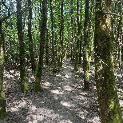 Sc20242Claudia's profile picture. 