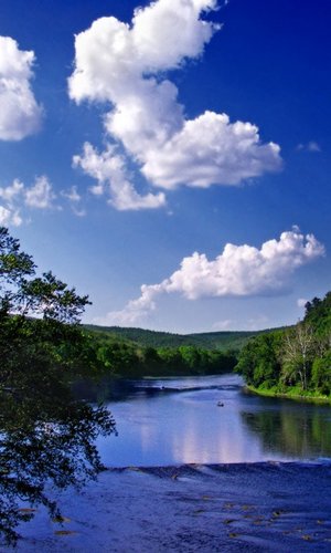 XiaoTom1's profile picture. 科学上网