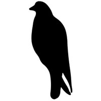 Blackbird Books (@bbirdbooks) 's Twitter Profile