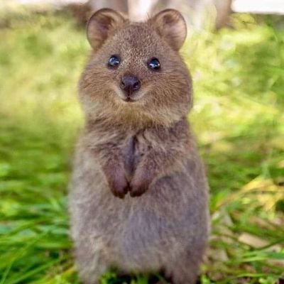 goodgoing_8's profile picture. 8 or nothing.