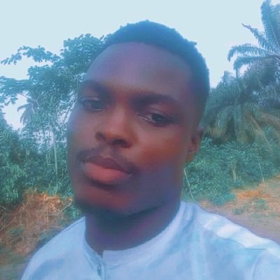 Frontend Engineer: JavaScript + React && Nextjs + Typescript. Lover of Tailwindcss.