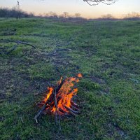 The River Dweller (@zeemagistra) 's Twitter Profile