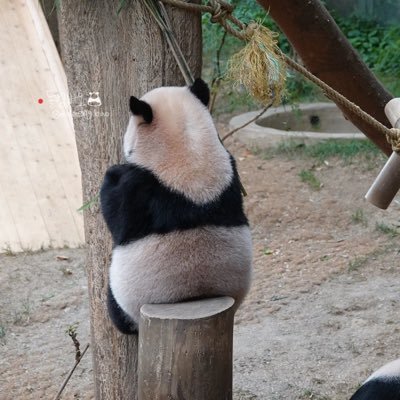 smileond's profile picture. 각자도생