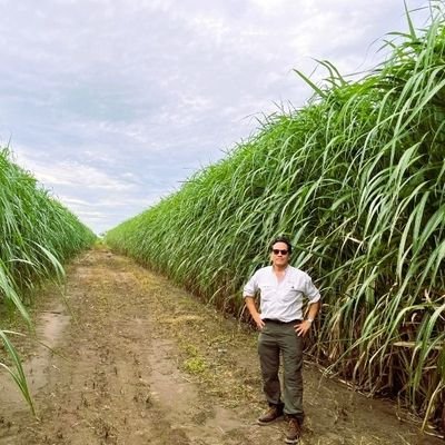 fermaya777's profile picture. Sugar, Hunting & Bourbon