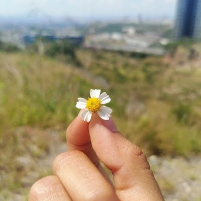 ErikaPrez985868's profile picture. 