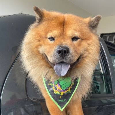 machadoow25's profile picture. https://t.co/4tNPkDDaJj