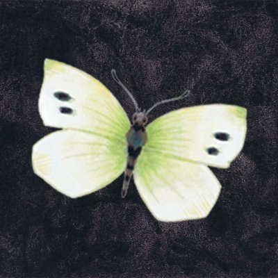 Emerging Writers' Festival Profile