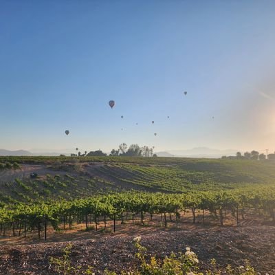 HustlingDadAZ's profile picture. 