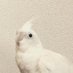 川口竜也 (@tatatatsu0415) Twitter profile photo 川口竜也 (@tatatatsu0415) Twitter profile photo