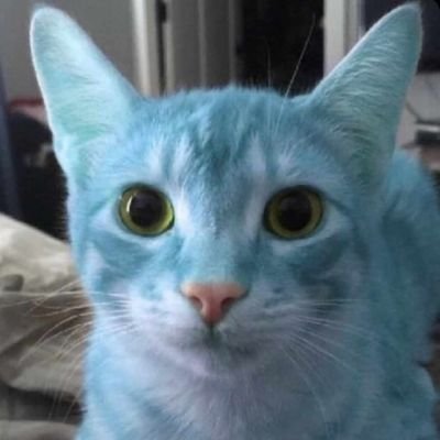 starslicerxvix's profile picture. I retweet stuff I find funny
That's about it