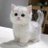 catslove30