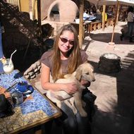 DortheaHim3597's profile picture. Relationship advisor, I love my Dog, tennis