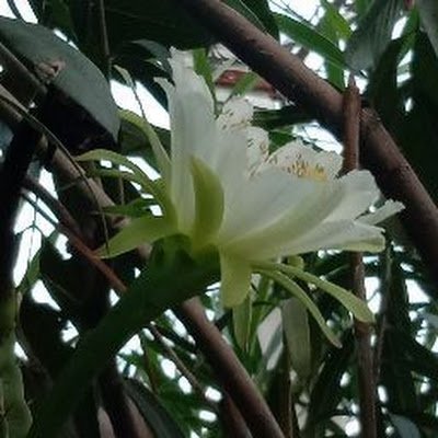 BijyAlex's profile picture. 