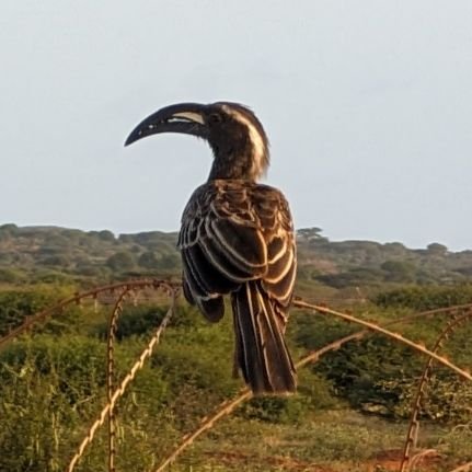 jrbarker8's profile picture. 