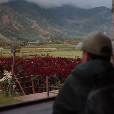 harristg6's profile picture. rauh welt 66