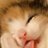 jeanaly69's profile image