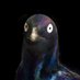 Gael casas (@gaelcasart) Twitter profile photo Gael casas (@gaelcasart) Twitter profile photo