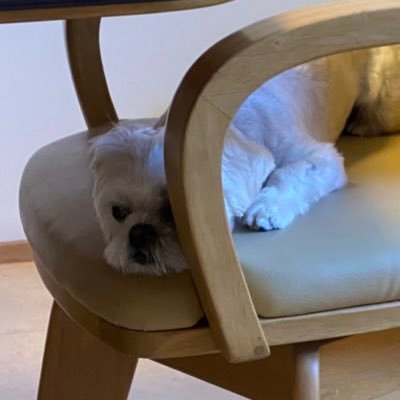 _mni_21's profile picture. いーっぬ！と音楽　トラックメーカーが好きです