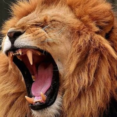 Godfrey14304481's profile picture. Ambitious, confident, creative, passionate, motivated and curious