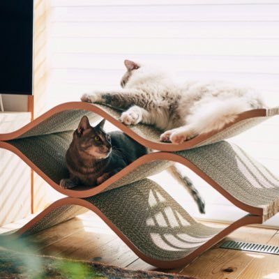 キャットセラーは獣医師・建築家監修、猫と共により良く暮らす為の、ベッド・爪研ぎ・トンネルを兼ねたインテリアです。キャットセラーmini好評発売中!監修:獣医にゃんとす(@nyantostos)