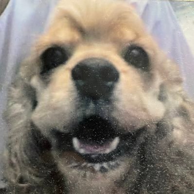 日本を愛する、オーストラリア在住.。 参政党を応援します 。 ワクチン義務化反対 。 ワクチン後遺症救済 。 💉は未だ治験中 。Twitterお金儲けを言うのは嫌いですので、ビジネスをしようとする人はご遠慮ください