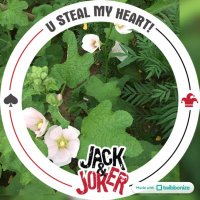 Garden Ked (@gardenked) 's Twitter Profile Photo Garden Ked (@gardenked) 's Twitter Profile Photo